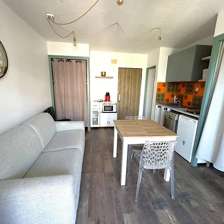 公寓 4 Personnes Avec Climatisation Et Parking - Fr-1-837-20